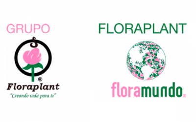 Grupo FloraPlant
