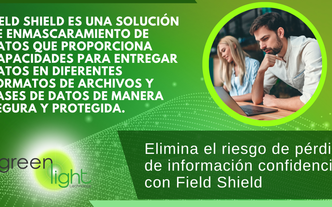 Fieldshield garantiza poder entregar datos en diferentes formatos de archivos y bases de datos