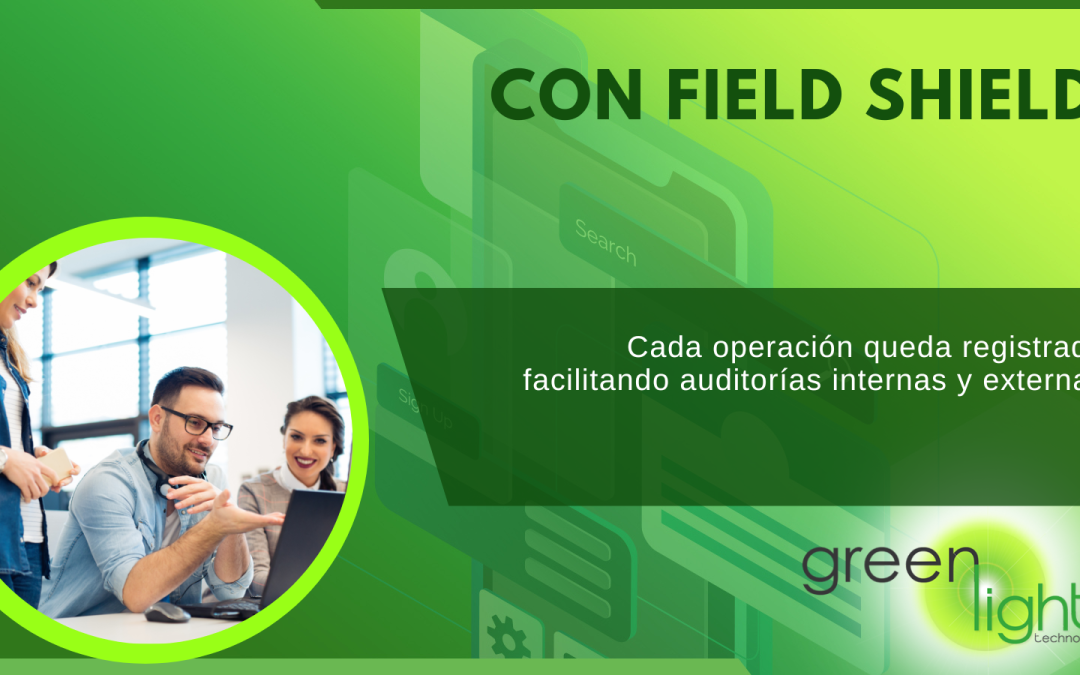 FieldShield ofrece una de las mayores gamas de métodos de protección de datos, permitiendo aplicar la técnica más adecuada a cada tipo de información.